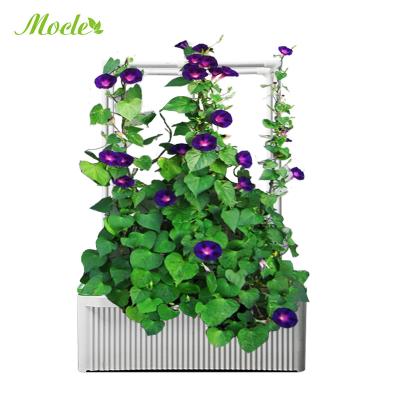 China Novelty relay hidroponic house with led indoor growing hydroponics light and timer set for sale