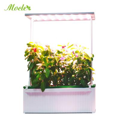 China New Arrival Relay High Quality Planting Herbs To One Pot Indoor Plant Grow Light For Garden Mini Tent Hydroponic System for sale