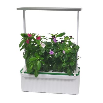 China Flower Pot With Tabletop Hydraulic Garden Smart Growing Led Light And Timer Relay Healthy Life With LED Grow With Indoor Grow Lights Watering Plants Indoor New Products for sale