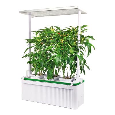 China Hot Selling Hydroponic Garden HH Amazon Hydro Garden Grow Hydroponic Kit Indoor Garden for sale