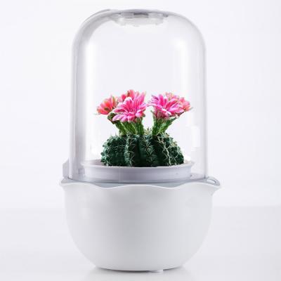 China Cute Mini Garden 2021 Relay Mocle Desktop Plant Pot Wall Succulent System Water Growing Hydroponics System Home for sale