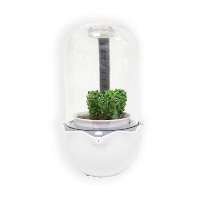 China Raise Pot Amazon Relay Hot Selling Flower Pot Fan Automatic Plastic Planter With LED Succulent Planting Pot for sale