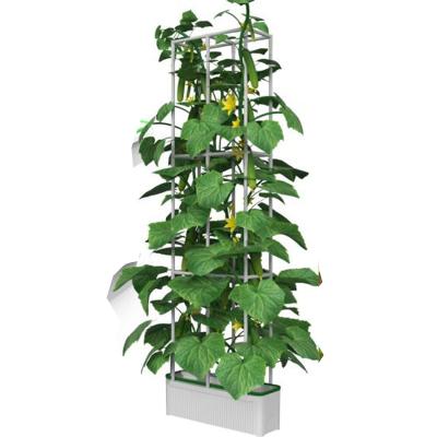 China Non Hydroponic Indoor Hot Sale Plant Herb Garden HH Amazon System Flower Pots Growing Hydroponic Soil Grow Kit With Trellis for sale