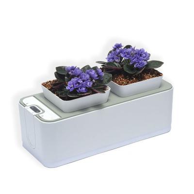 China Plastic Drip Irrigation Smart Lazy House Pots Flower Garden Relay Mocle Indoor Hydroponics for sale