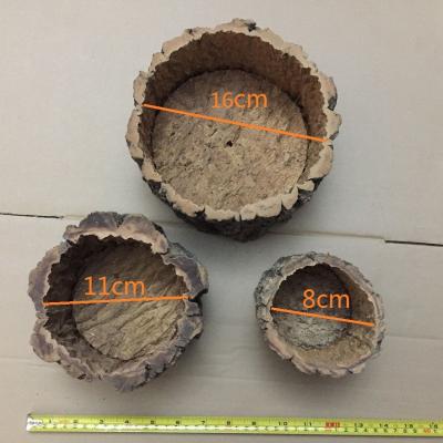 China Natur-runder Korken-Barken-Pflanzer für für die Gartenarbeit, die Orchideen oder die Succulents zu verkaufen