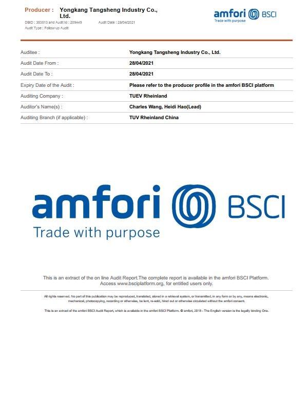 BSCI - Yongkang Tangsheng Industry Co., Ltd.
