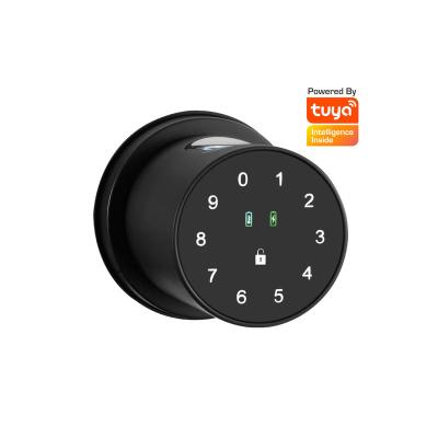 China Keyless anti-peep code Tuya fingerprint FIAS Digital code ball lock password office home room smart door lock for sale