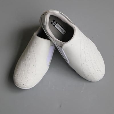 China Custom Hot Sale Taekwondo Sports Equipment Korea Taekwondo Shoes Martial Art for sale