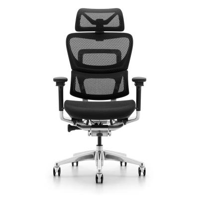 China Mesh Office Furniture Bifma Europe Full Swivel Ergonomic Office Chair Mesh Chair Rotation Ergonomic Desk for sale