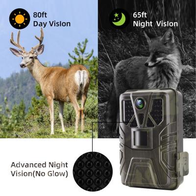 China Outdoor 202236MP 4K Hunting Camera With APP Control Cloud Service Wildlife Surveillance Night Vision Trail Camera HC-910Pro for sale