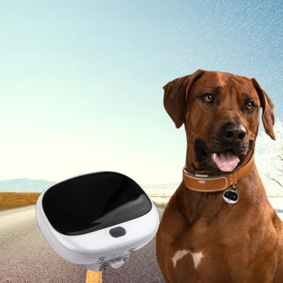 China Micro GPS Navigation 4G Platform Cat Dog Mini Pet GPS GSM Free Positioning Tracker with Smart Sensor Light Ring Tone Training for sale