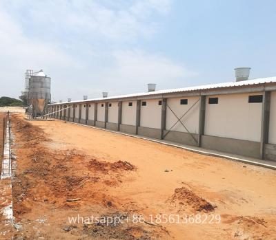 China Q235B Tunnel Ventilation System Automated Steel Chicken Farm Design Poultry House for sale