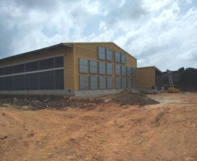 China Ghana Chicken Farm House Steel Structure Chicken Farm Poultry House For Layer Chicken for sale