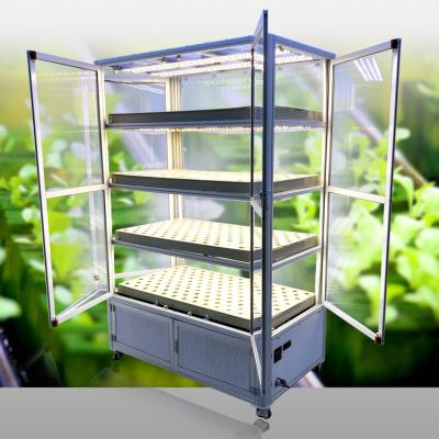 China PE Garden Greenhouses Systems Indoor Hydroponic Growing Plant Growing Cabinet Grow Box for sale