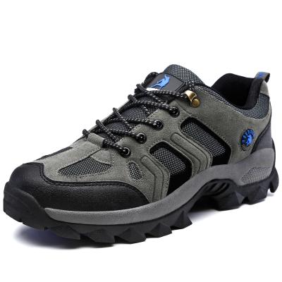 China Outdoor Use Mesh Hiking Mountain Sport Climbing Shoe Breathable Mountain Shoes For Men for sale