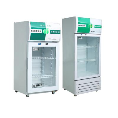 China Custom Mini Portable Medcicine Fridge 130L Vaccine Refrigerator For Hospital for sale