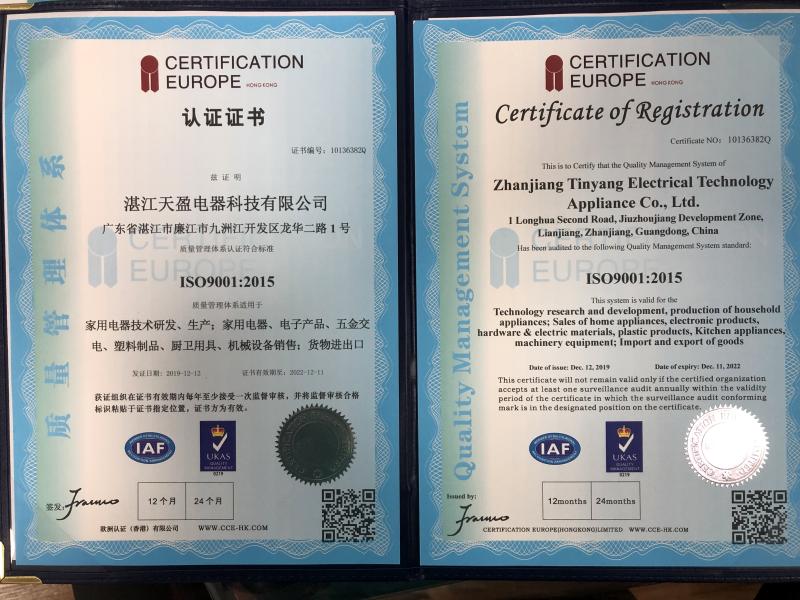 ISO9001 - Guangdong Tianying Electrical Technology Co., Ltd.