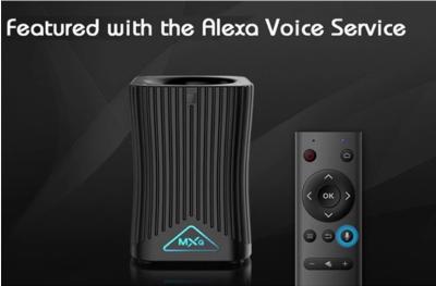 China Super AI Amazon Alexa Voice Activated Speaker Smart Home Speakers for sale