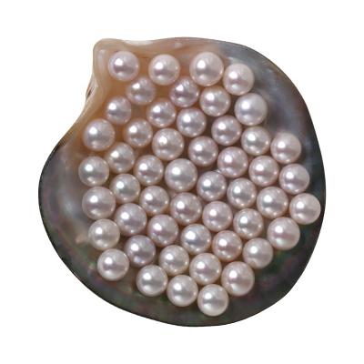 China Freshwater Pearl AAA+ Grade 6.5~11.5mm Off Round Shape Loose Pearl Coreless Natural Freshwater Pearl for sale