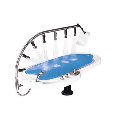 China Detox Water Flow Massage Bed Water Bed Vichy Shower Hydrotherapy for sale