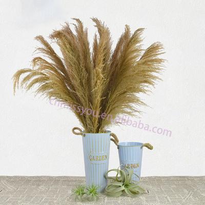 China Wholesale Bulk Large Natural Weding Home Decoration Pampas Grass Reed Dried Pampas Grass Decor For Wedding Decoration Hall Decor for sale