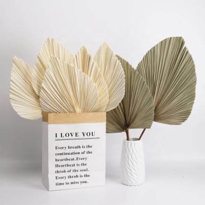 China Hot Sale Graduation Dried Fans Wholesale Supplier Rose Palm Leaf Palm Leaves Wedding Decoration Dried Artificial Palm Leaves for sale