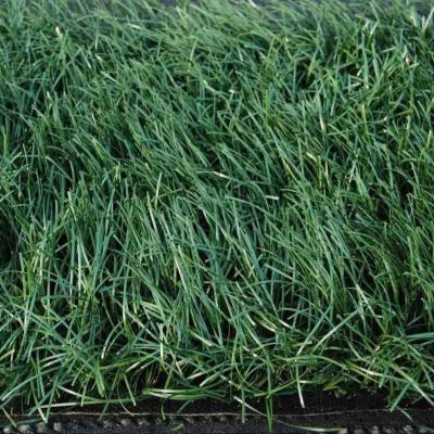 China 12000 Dtex Football Artificial Turf 5/8