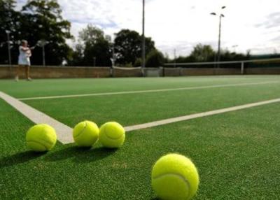 China 19mm Pictured Artificial Grass For Hockey Sports Turf for sale