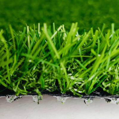 China Césped sintético sin relleno de 25 mm hierba artificial de alto Dtex para campos deportivos y decoraciones de paisajes en venta