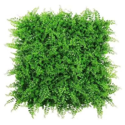 China PE Polietileno Pared de hierba verde artificial Durable Ecológico en venta