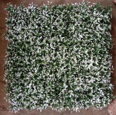 China Artificial Wall Grass For Elevating Your Building'S Aesthetics With 50cm*50cm Size The Perfect Exterior Solution for sale