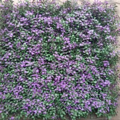 Chine Herbe de mur artificiel pratique et durable 50 cm * 50 cm Taille avec installation facile et drainage rapide à vendre