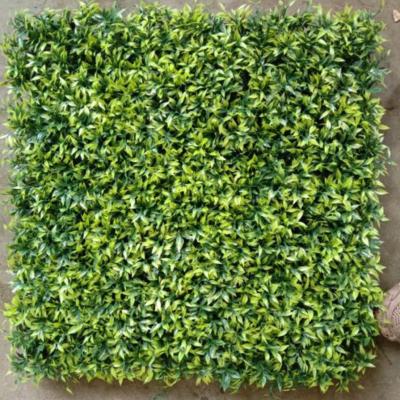 China Fake Artificial Wall Grass 50cm*50cm Size The Perfect Solution For Houses And Shops Decoration And Noise Reduction for sale