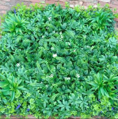 Chine Herbe de mur artificiel 100cm*100cm Taille avec une apparence très réaliste et une installation facile, entretien facile à vendre