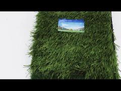 Sports Artificial Turf