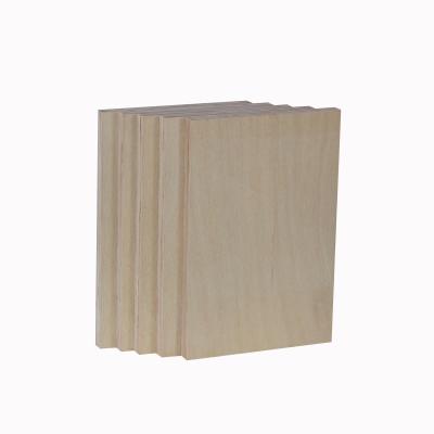 China High Quality Hotel 18mm JAS Eucalyptus Plywood T2 OP Mersawa Face And Back Furniture Use for sale