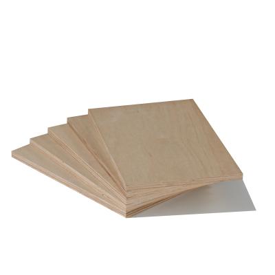 China Modern Furniture Use Eucalyptus Plywood Indoor Hardwood Wood Plywood for sale