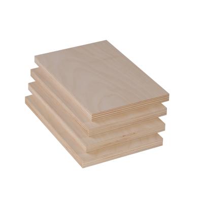 China Modern High Quality Birch Plywood JAS Birch OP Face And Back Veneer Indoor Use Construction Lumber for sale