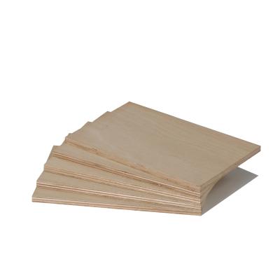 China Modern Interior Eucalyptus Core Glue BB/CC Glue Board WBP Hardwood Furniture Cabint Waterproof Plywood for sale