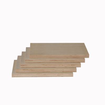 China Hotel 18mm JAS Plywood Eucalyptus T2 Mersawa Face And Back Furniture Use High Quality Plywood Sheet for sale