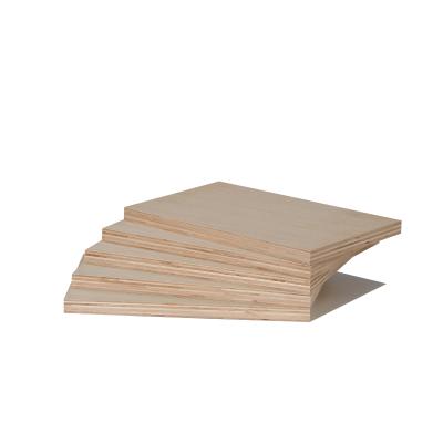 China Furniture Modern Ordinary Use JAS Hardwood Birch Wood Face And Larch Back Core Indoor Plywood For Sale for sale