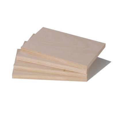 China Modern Plywood High Quality Ordinary Eucalyptus JAS Manufacturer Furniture Use Cheap Wooden Construction Lumber for sale