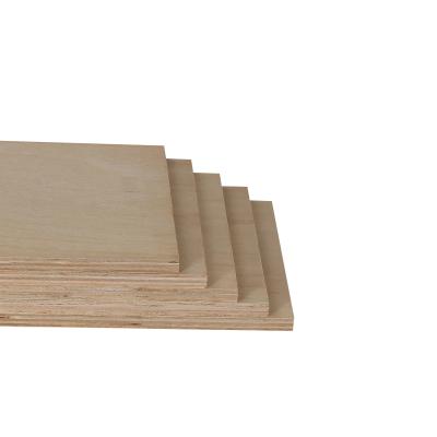 China Chinese 12mm JAS plywood MLH indoor plain face and back eucalyptus core hardwood furniture use plywood for sale