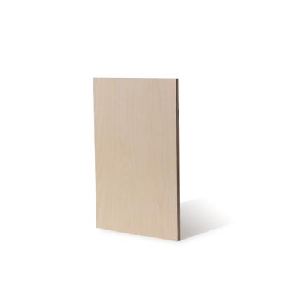 China Modern Birch Plywood 9mm JAS Birch T1 OP Face And Larch Back Core Use Indoor Plywood for sale