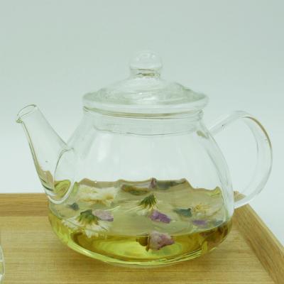 China New Style Heat Resistant Tea Kettle Factory Borosilicate Glass High Quality Glass Teapot Viable For Restaurant for sale