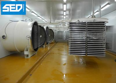 China 250KGS 380V 50HZ per Droog de Machinefruit en de Plantaardige Kamer Materiële SUS304/δ8mm van de Partijvorst van de Vorst Drogere Vriesdroger Te koop