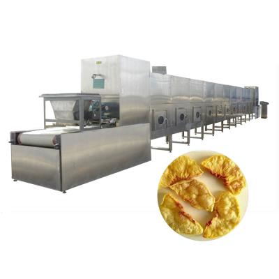 China Mikrowellen-Trockner-Sterilisations-Maschine Aprikose Kiwifruit-30kw zu verkaufen