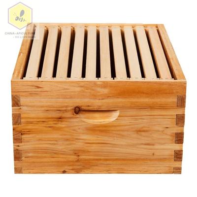 China Bee Farm Beekeeping Tools Hive 10 Super Box Kit Frame and 10 Deep Frames with Bases for Langstroth Beekeeping for sale