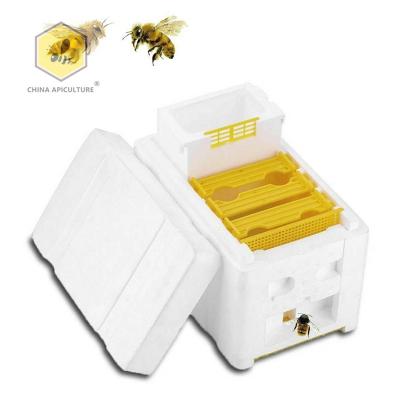 China Apidea Bee Farm Beekeeping Equipment Joining Nuc Bee Hives For Sale Queen Breeding Mini Polystyrene Mating Nucs Beehive for sale