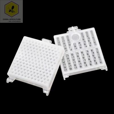 China Bee Farm Beekeeping Machines Queen Bee Cage Shipping Cage For Queen Shipping Beekeeping Equipment for sale